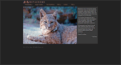 Desktop Screenshot of metakrome.com